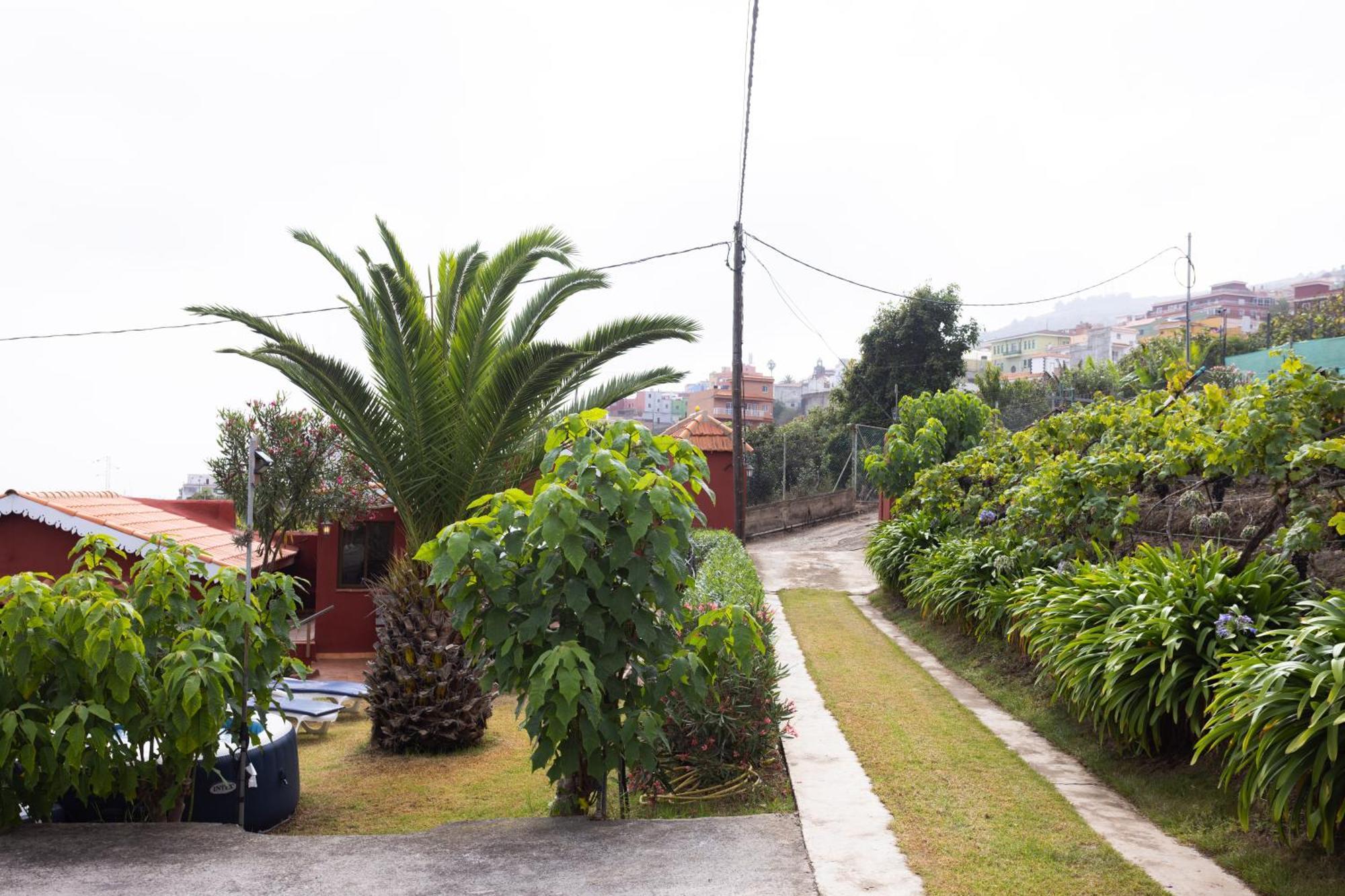 Home2Book Serene Retreat Isabel, Jacuzzi & Garden Icod el Alto Bagian luar foto