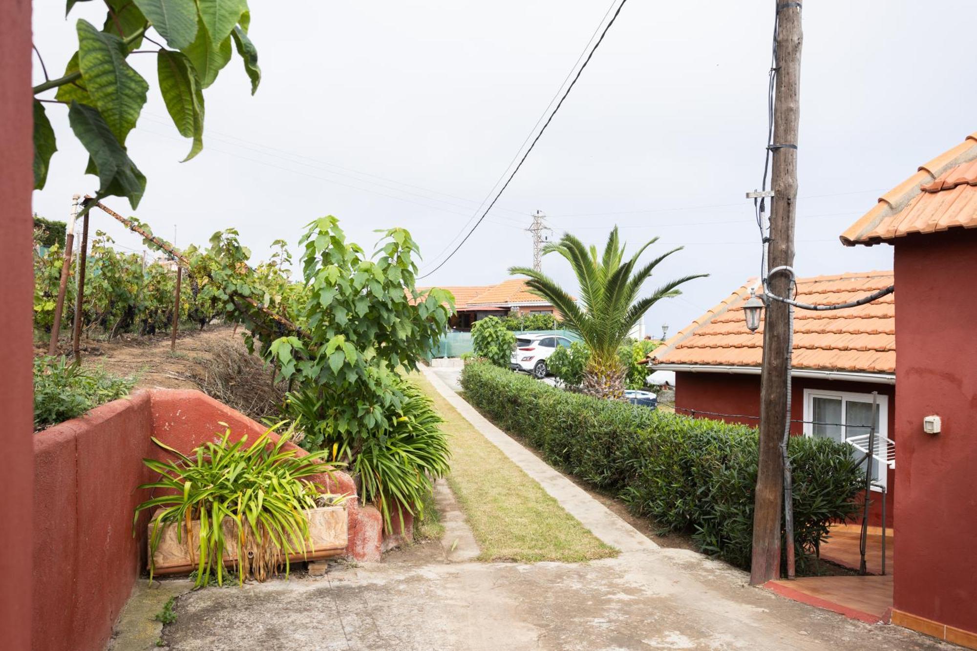 Home2Book Serene Retreat Isabel, Jacuzzi & Garden Icod el Alto Bagian luar foto